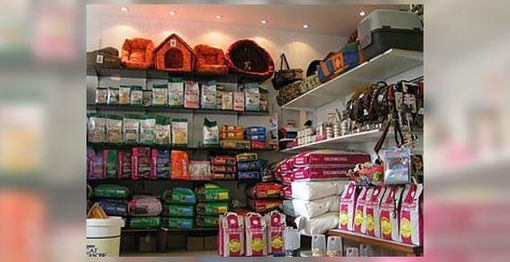 Rayon boutique pour animal