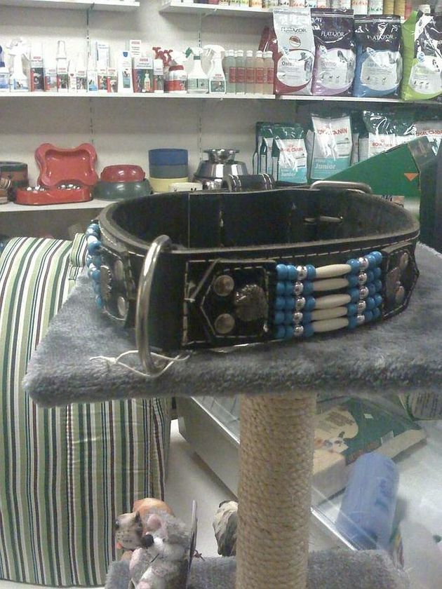 Collier noir pour chien