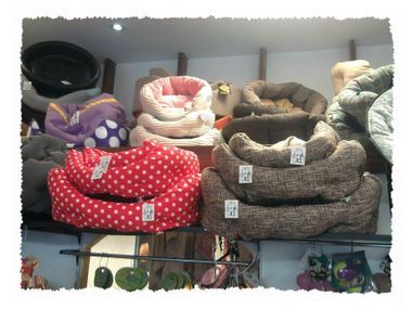 Rayon de coussins pour chien et chat