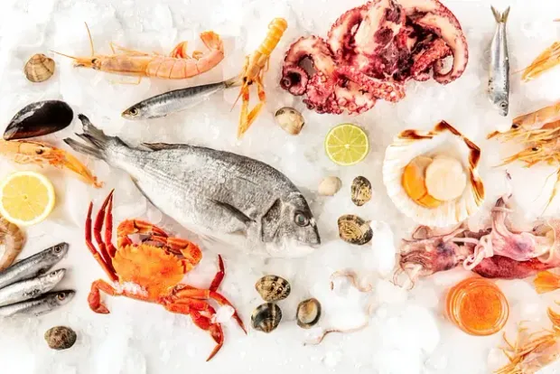Una variedad de mariscos se encuentran sobre el hielo.