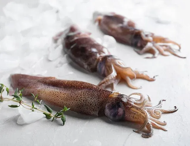 Tres calamares están sentados sobre hielo en una mesa.