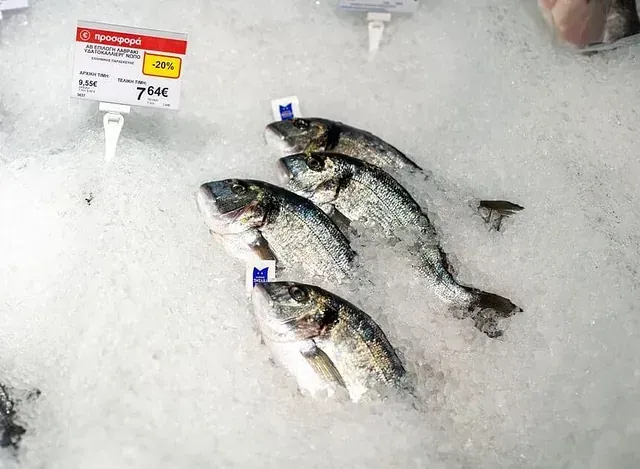 Tres peces están sobre el hielo con una etiqueta de precio.