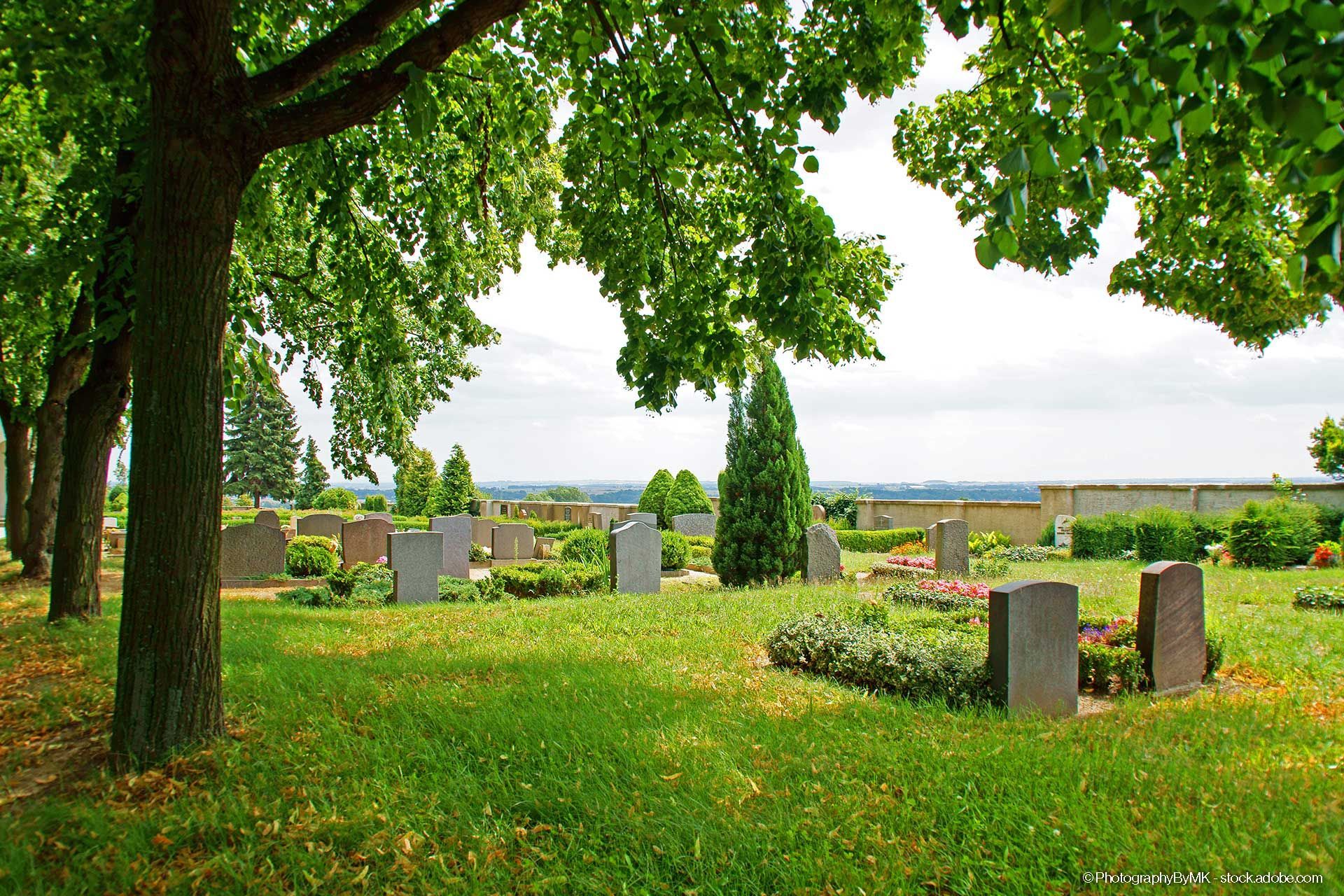 Friedhof auf einem Berg mit Bäumen und Wiese