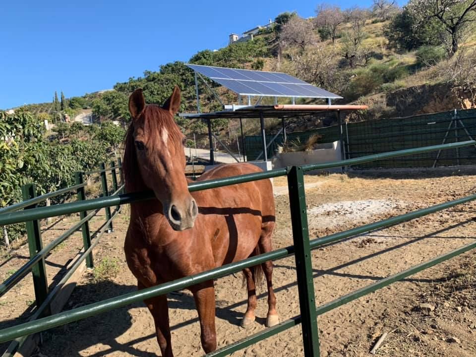 Energía solar Málaga