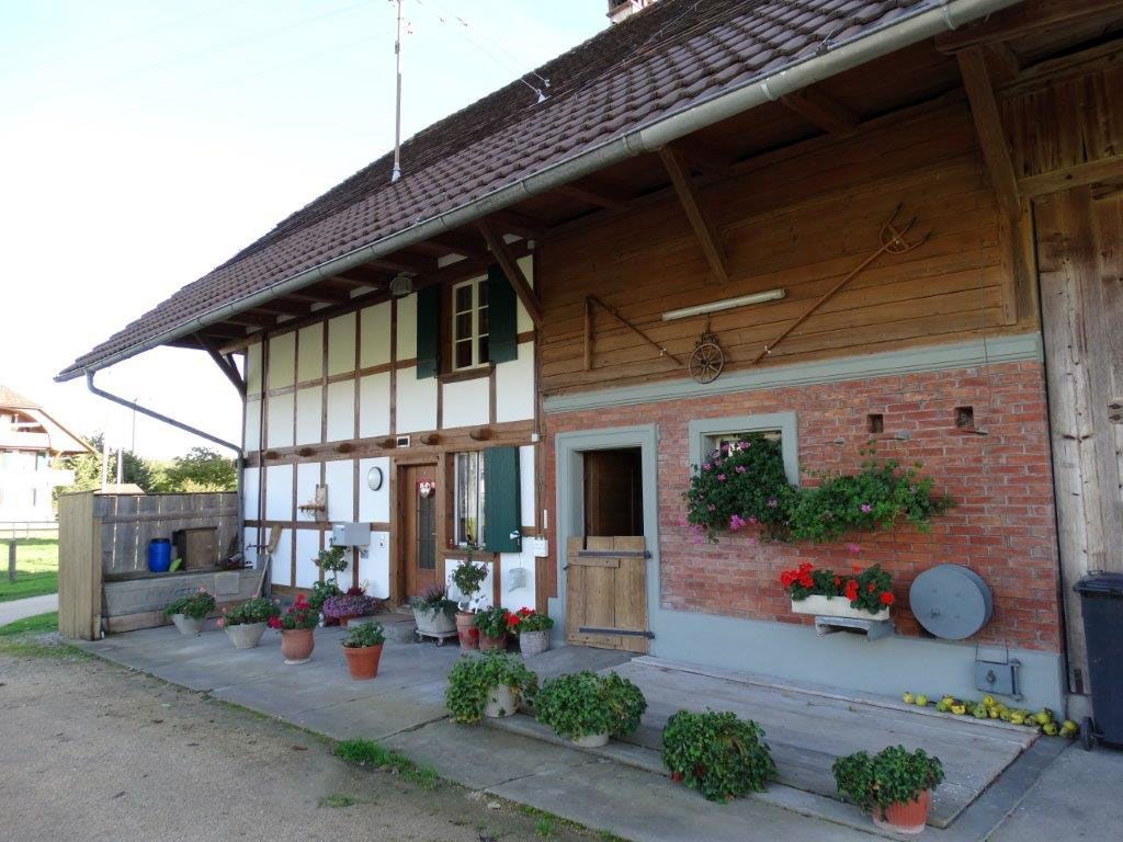 Malerarbeiten der Malerei Boschung in Kleingurmels