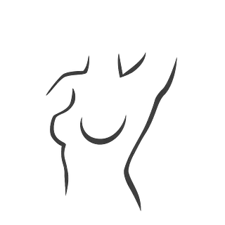 Un dibujo en blanco y negro del torso y los pechos de una mujer.