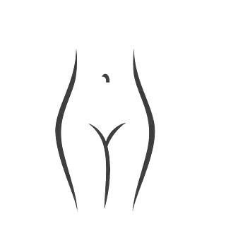 Un dibujo en blanco y negro del torso y las caderas de una mujer.