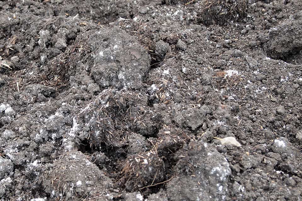 Potzler Transporte e.K. – Humus