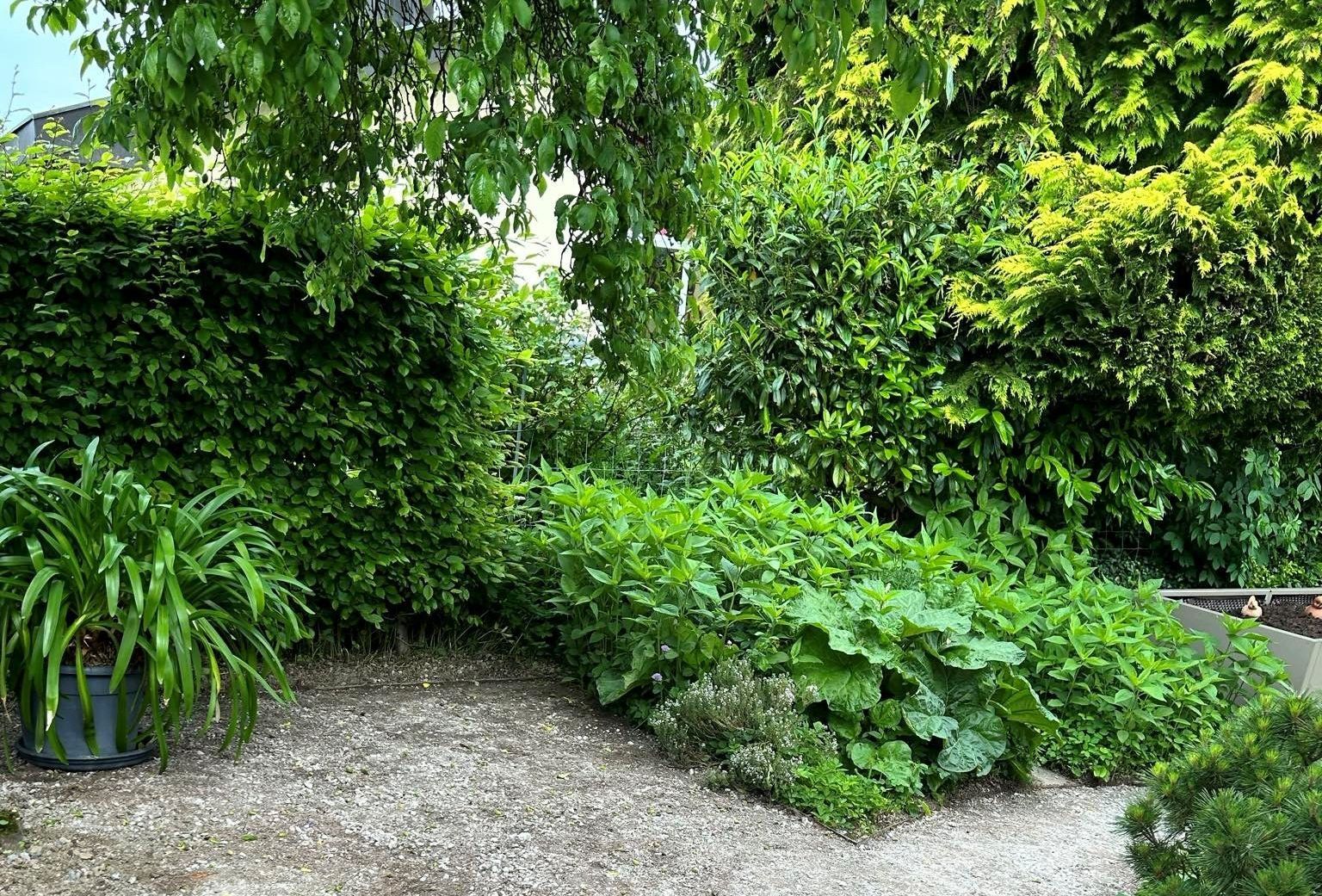 Ein Mann kniet in einem Garten und schneidet Gras.