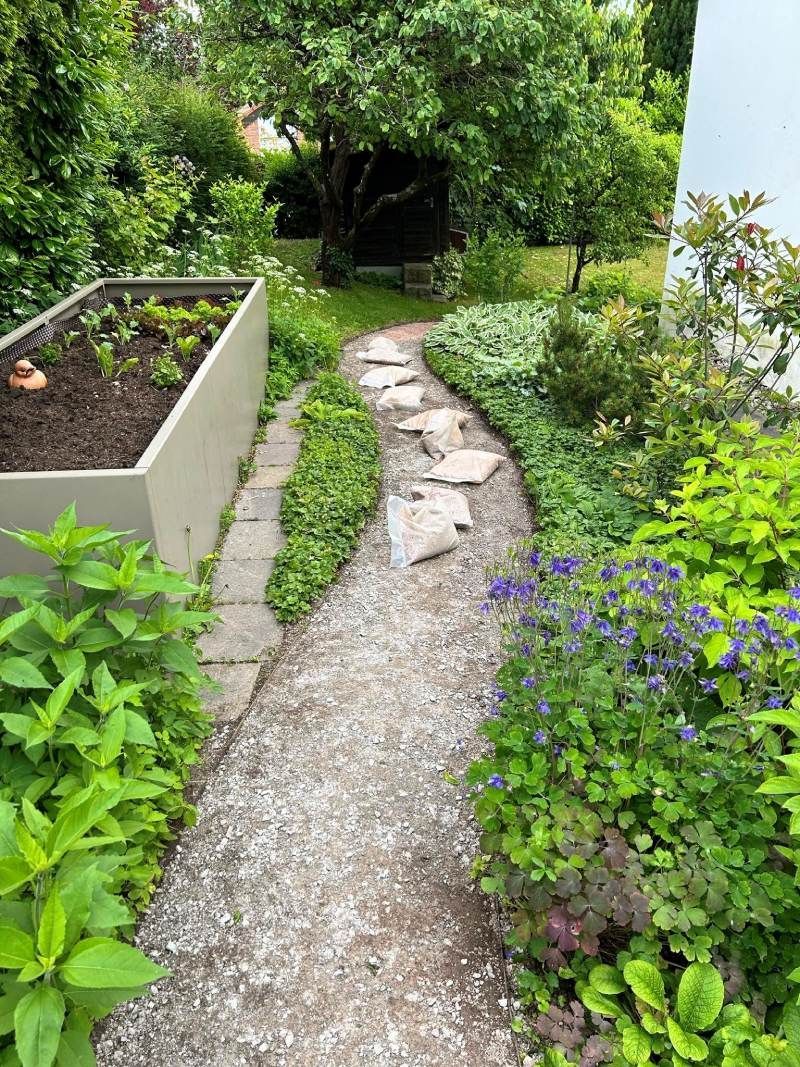 Ein Weg in einem Garten, umgeben von Pflanzen und Bäumen. Foto  von Edi Gartenunterhalt.