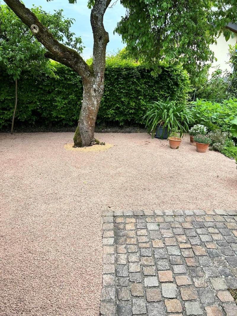 Mitten im Hof ​​steht ein Baum. Foto  von Edi Gartenunterhalt.