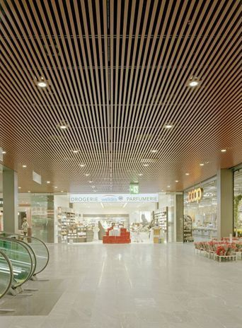 Paneel Decken - Linear System GmbH - Bauprodukte - Fruthwilen - 2