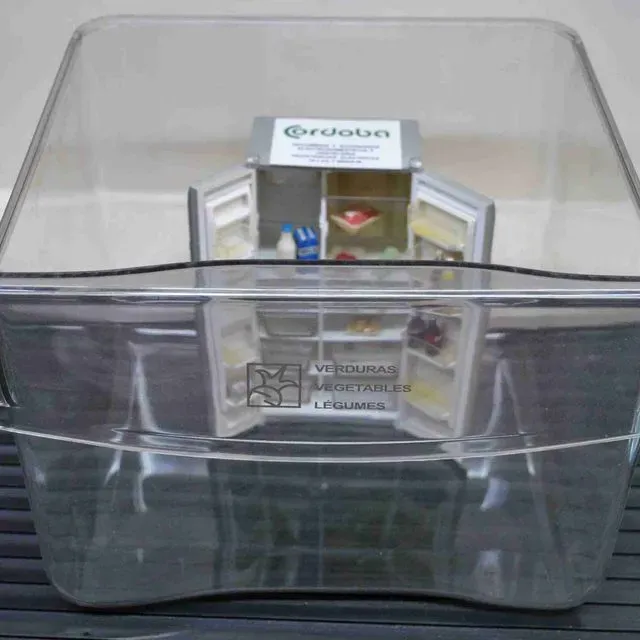Un recipiente de plástico transparente con un refrigerador dentro.