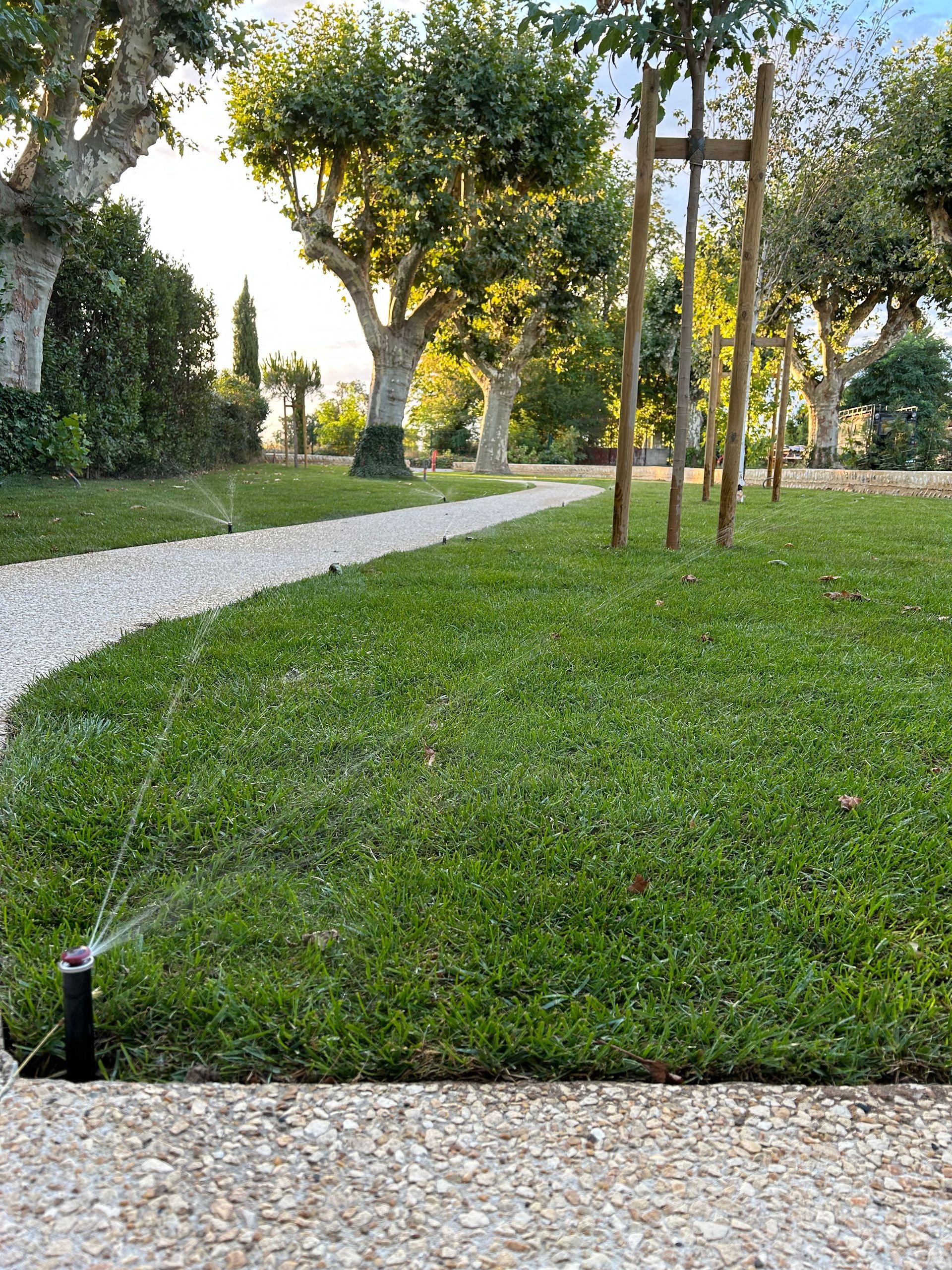 Pelouse avec arrosage automatique