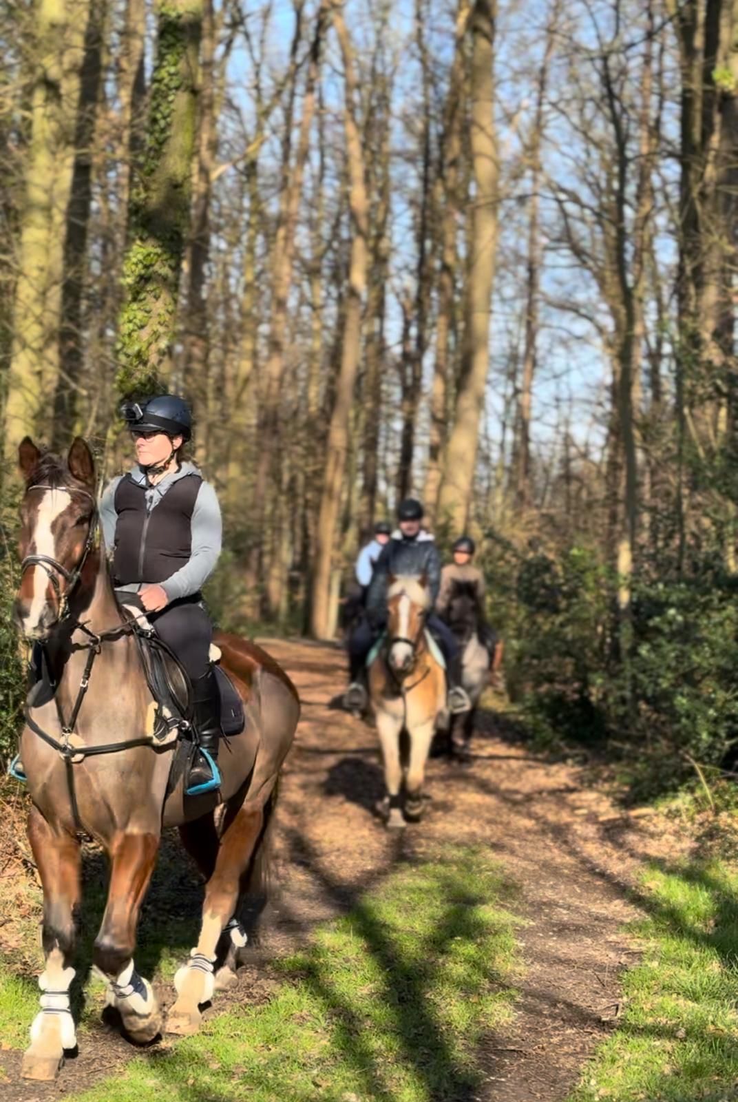 Ausritt | Reiterhof Laubner