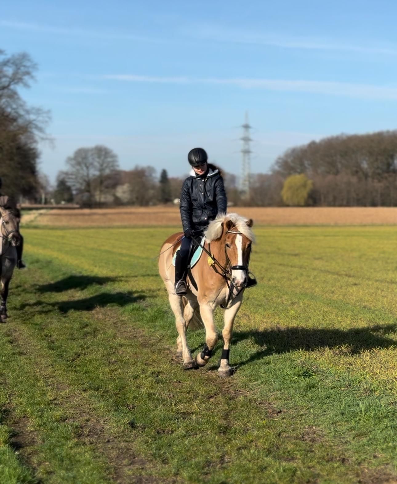 Ausritt | Reiterhof Laubner