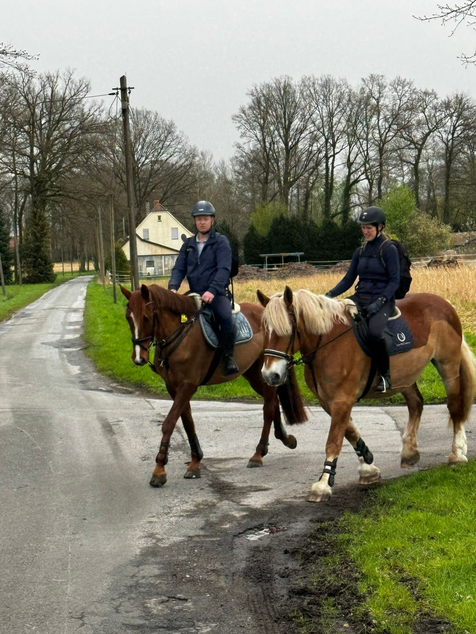 Ausritt | Reiterhof Laubner