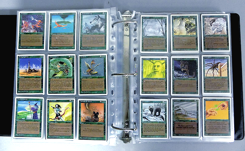 Photos de deux classeurs 