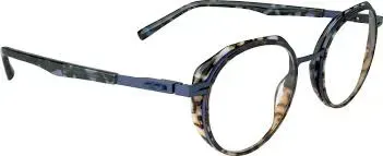 Lunette avec branche bleue