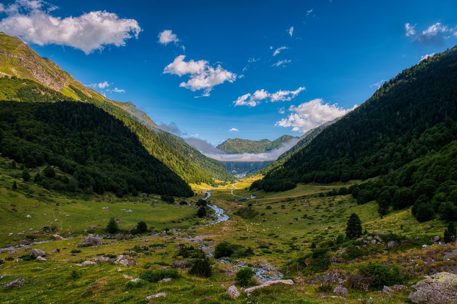 Un paysage montagneux en été