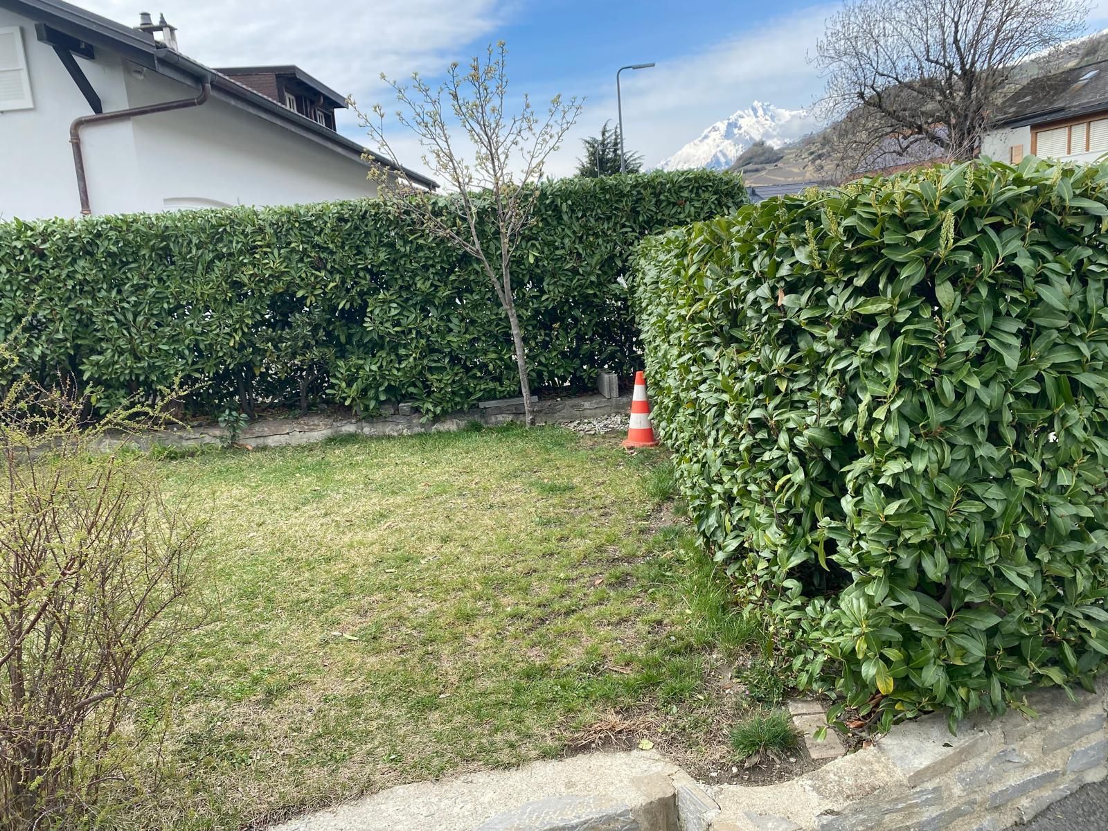 Taille Haies Sion - Uvrier