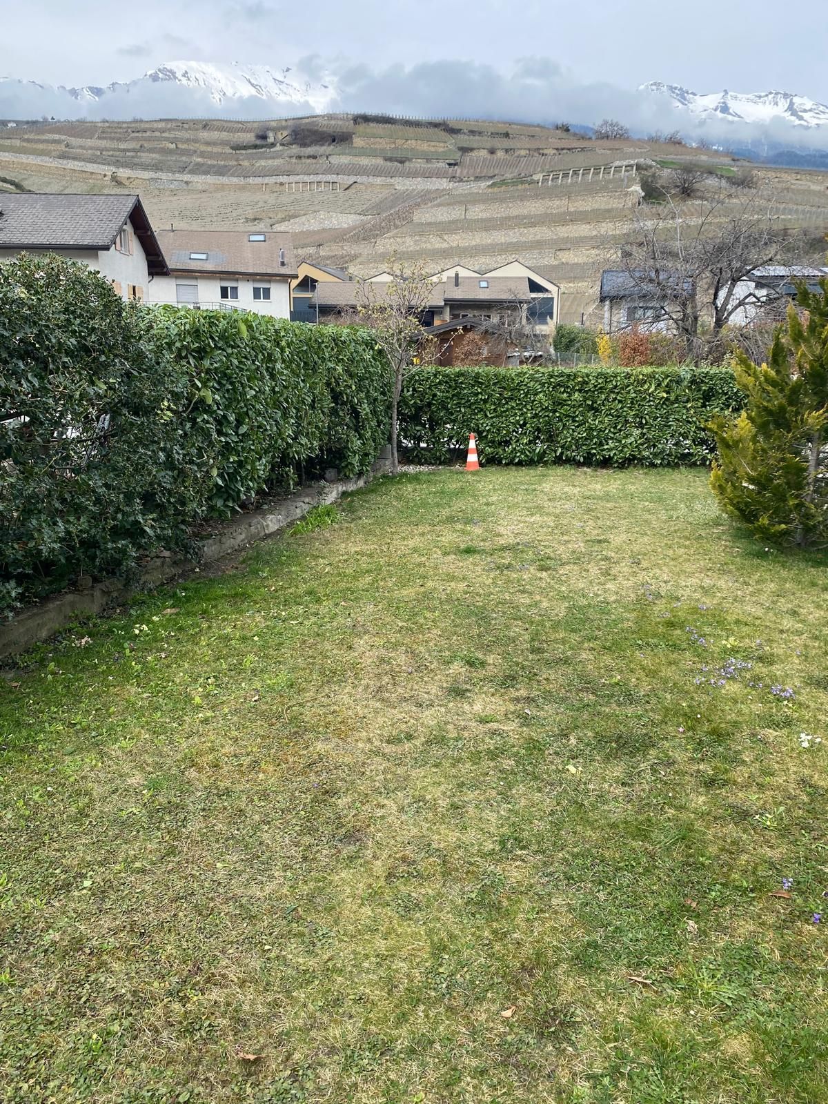 Taille haie valais central