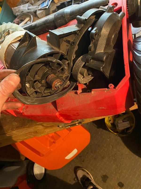 Une personne tient un objet rouge dans sa main.