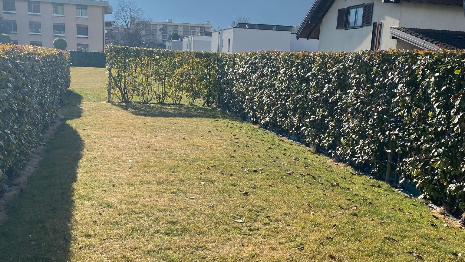 entretien extérieur Valais