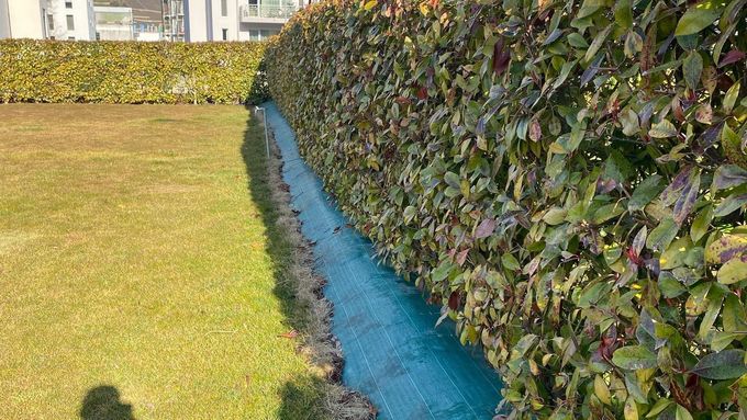 Une tondeuse à gazon robotisée est posée sur une pelouse verte luxuriante devant une maison.
