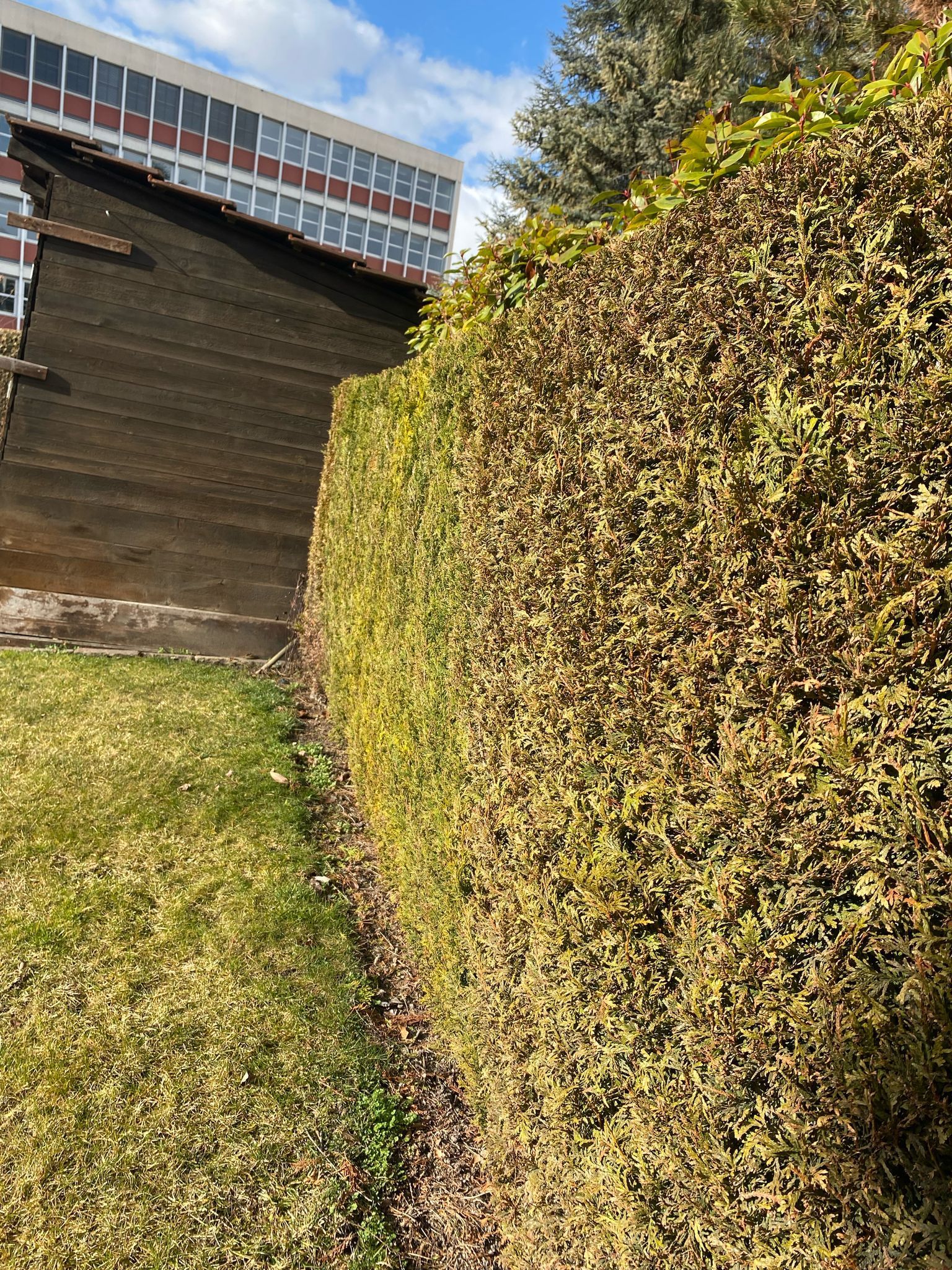 entretien extérieur Valais