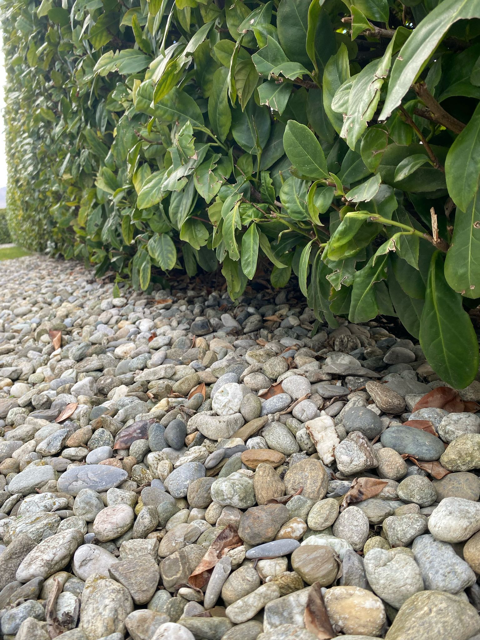 entretien extérieur