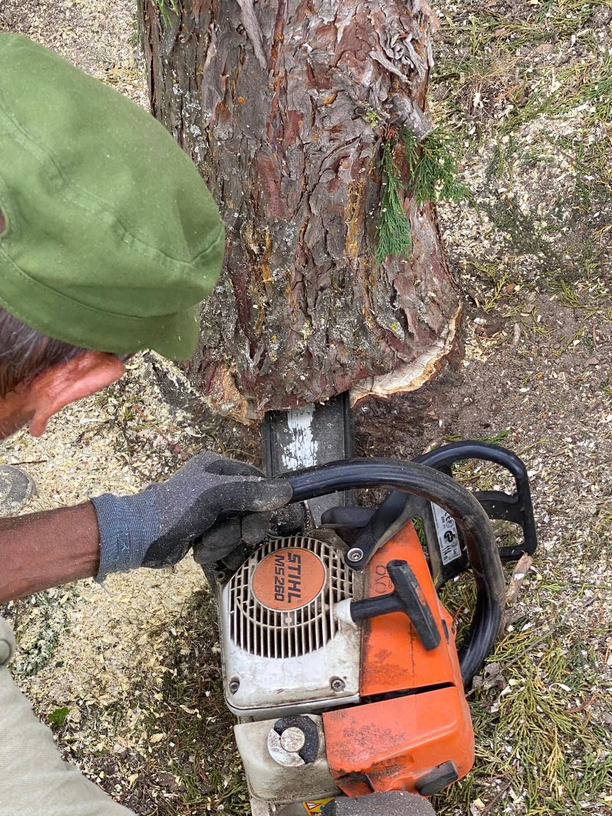 tronçonneuse stihl 