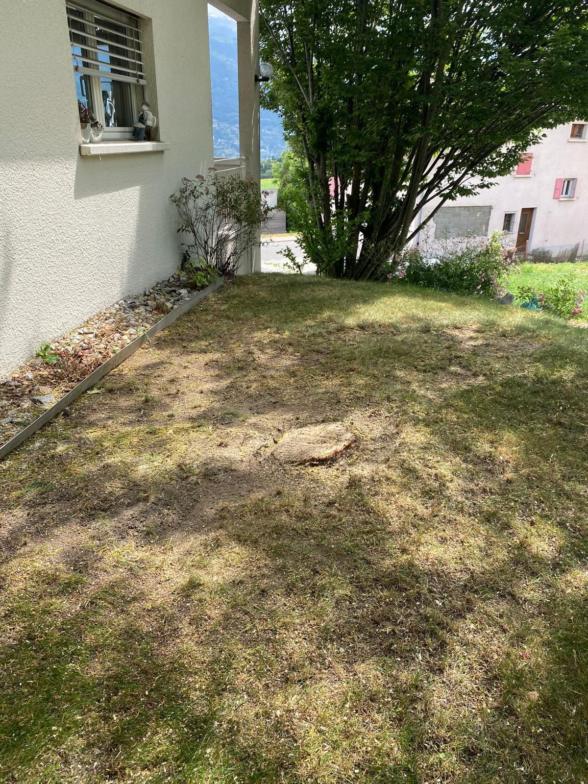 arbre éliminer Valais