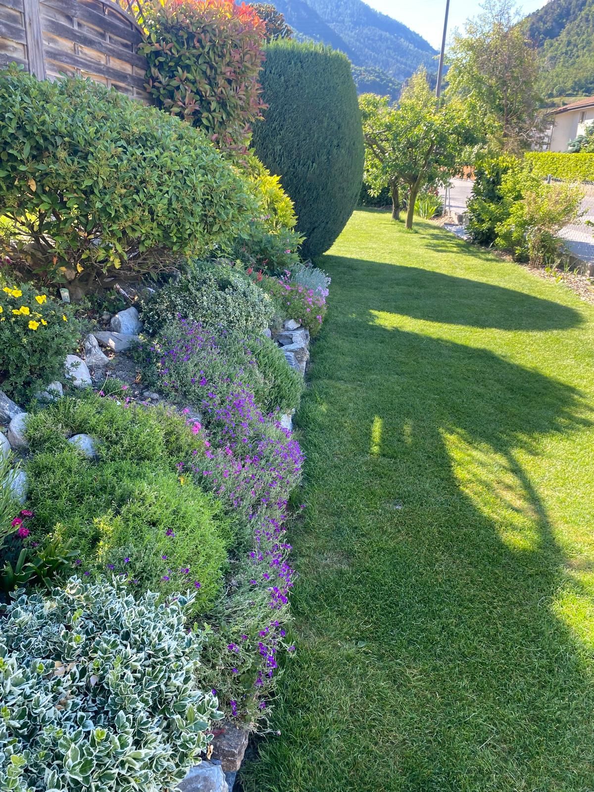 entretien arbustes Valais