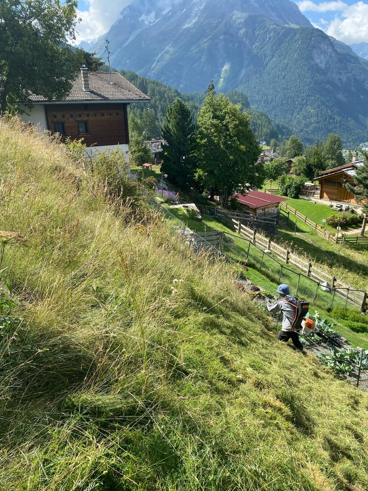 Fauchage et débroussaillage