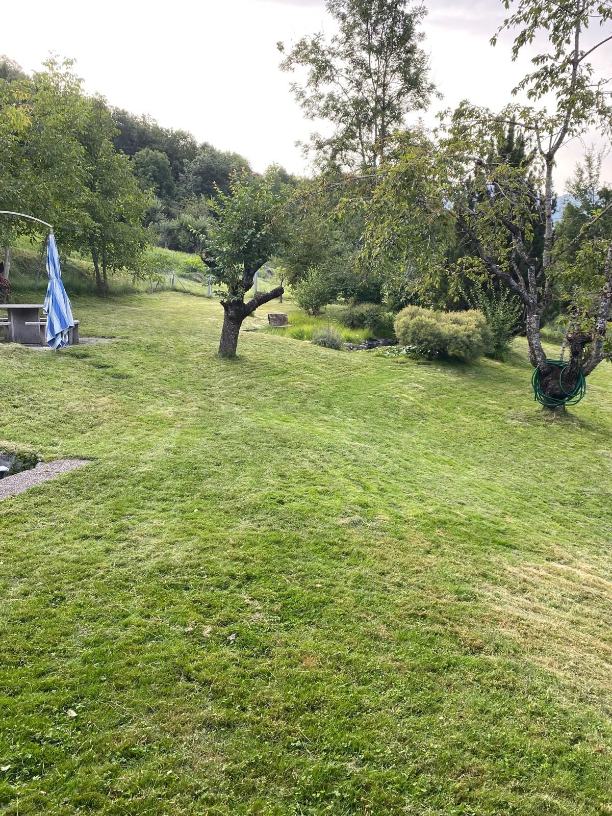 entretien jardin sion valais