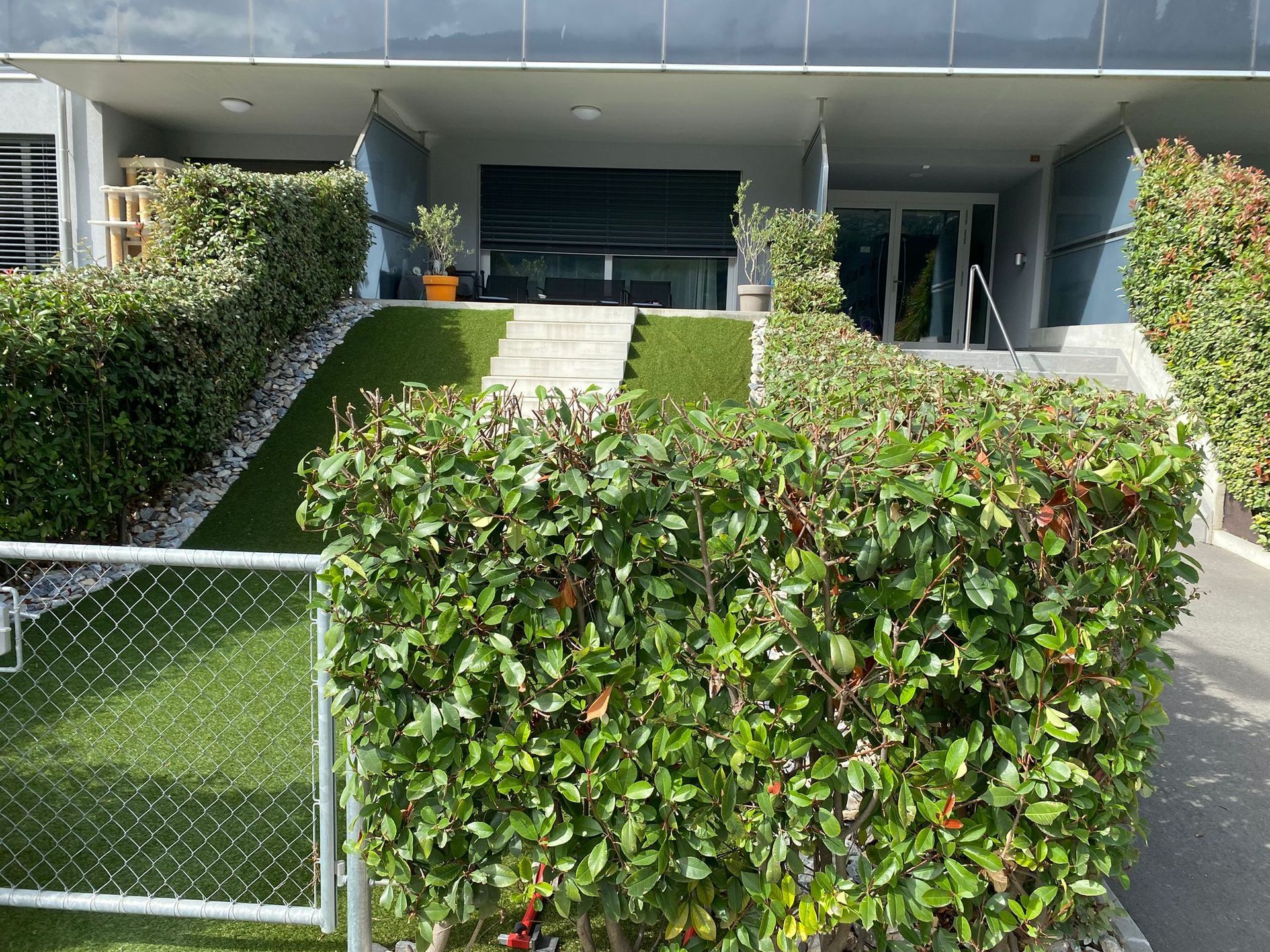 taille haies sion valais 