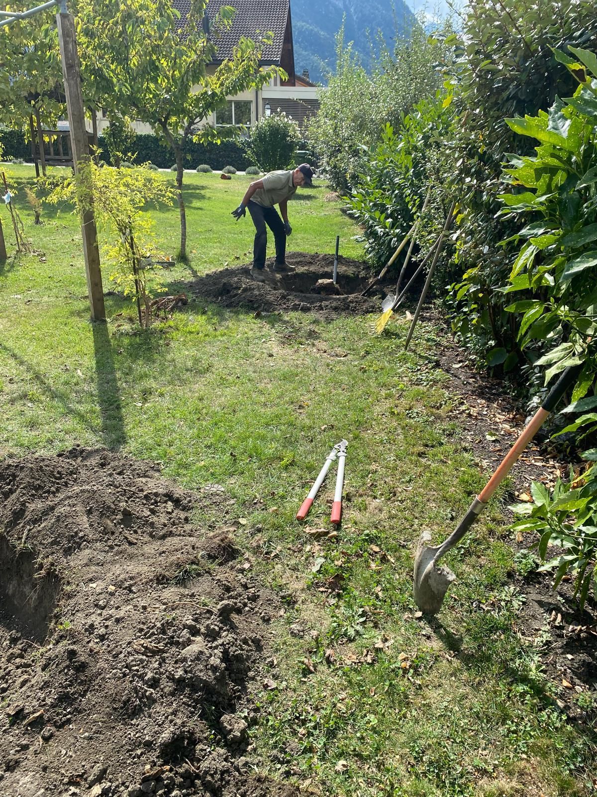 abattage sion valais