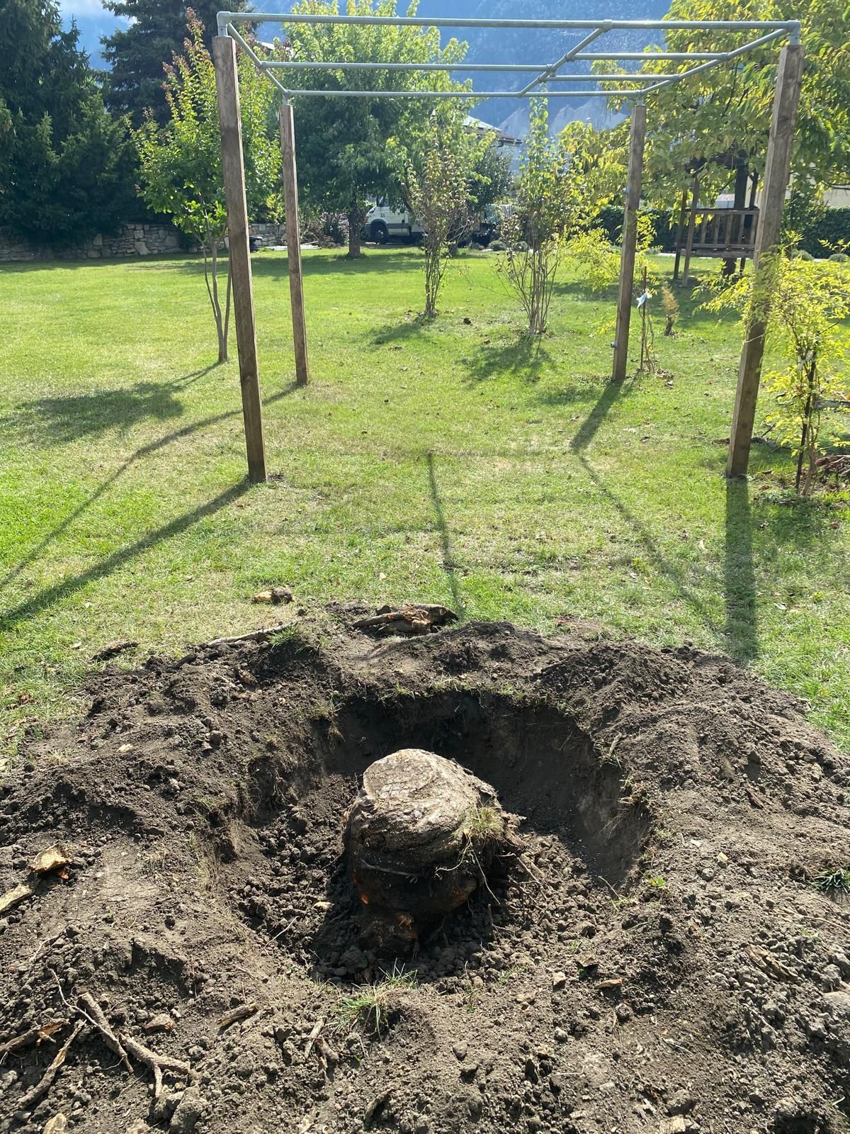 extraction arbre valais central 