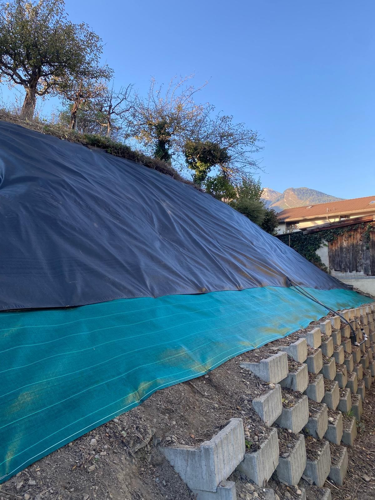 Remise en état talus Sion