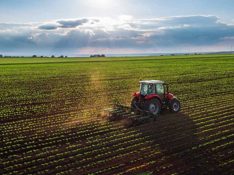 Tracteur dans des cultures