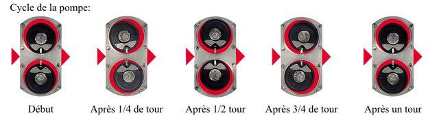 Schéma cycle de la pompe