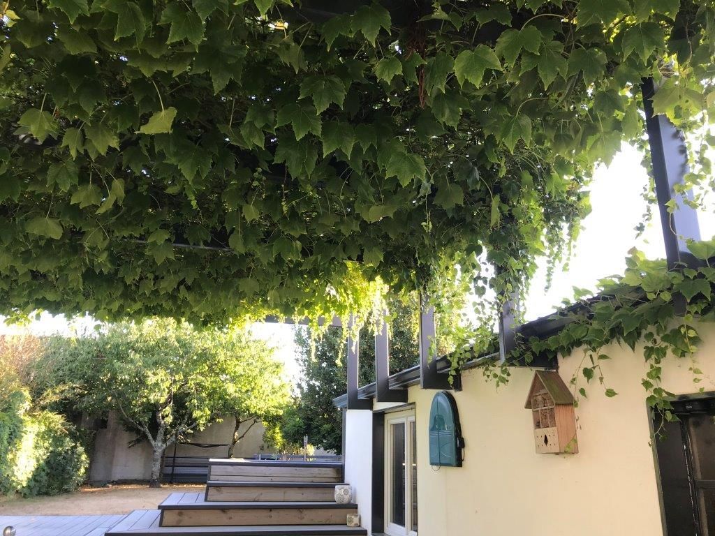 Pergola végétale réalisée par notre entreprise 
