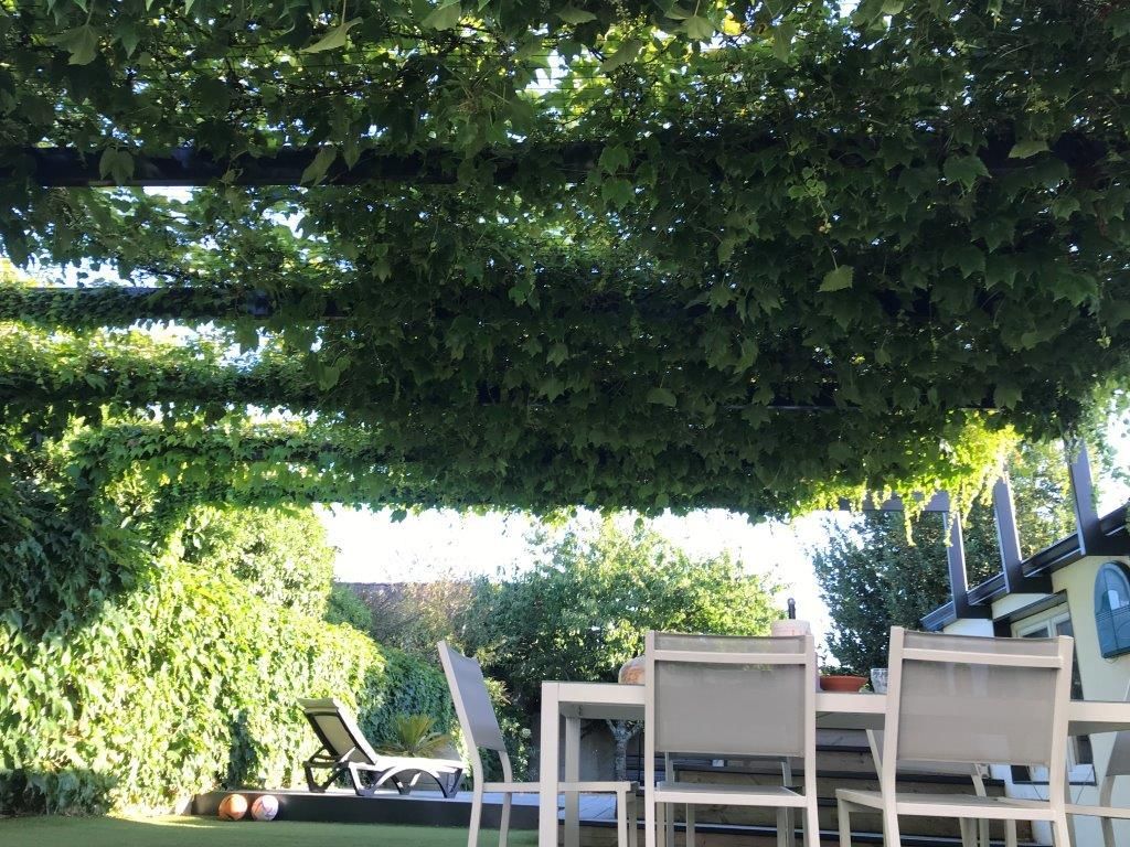 Pergola végétale avec table à manger 