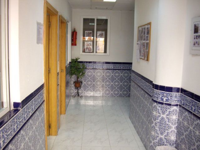 Pasillo estrecho con revestimiento de azulejos estampados en azul y blanco, puertas de color canela y una pequeña planta en maceta.