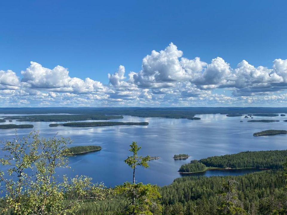 Psykoterapiapalvelu Silja Mäki