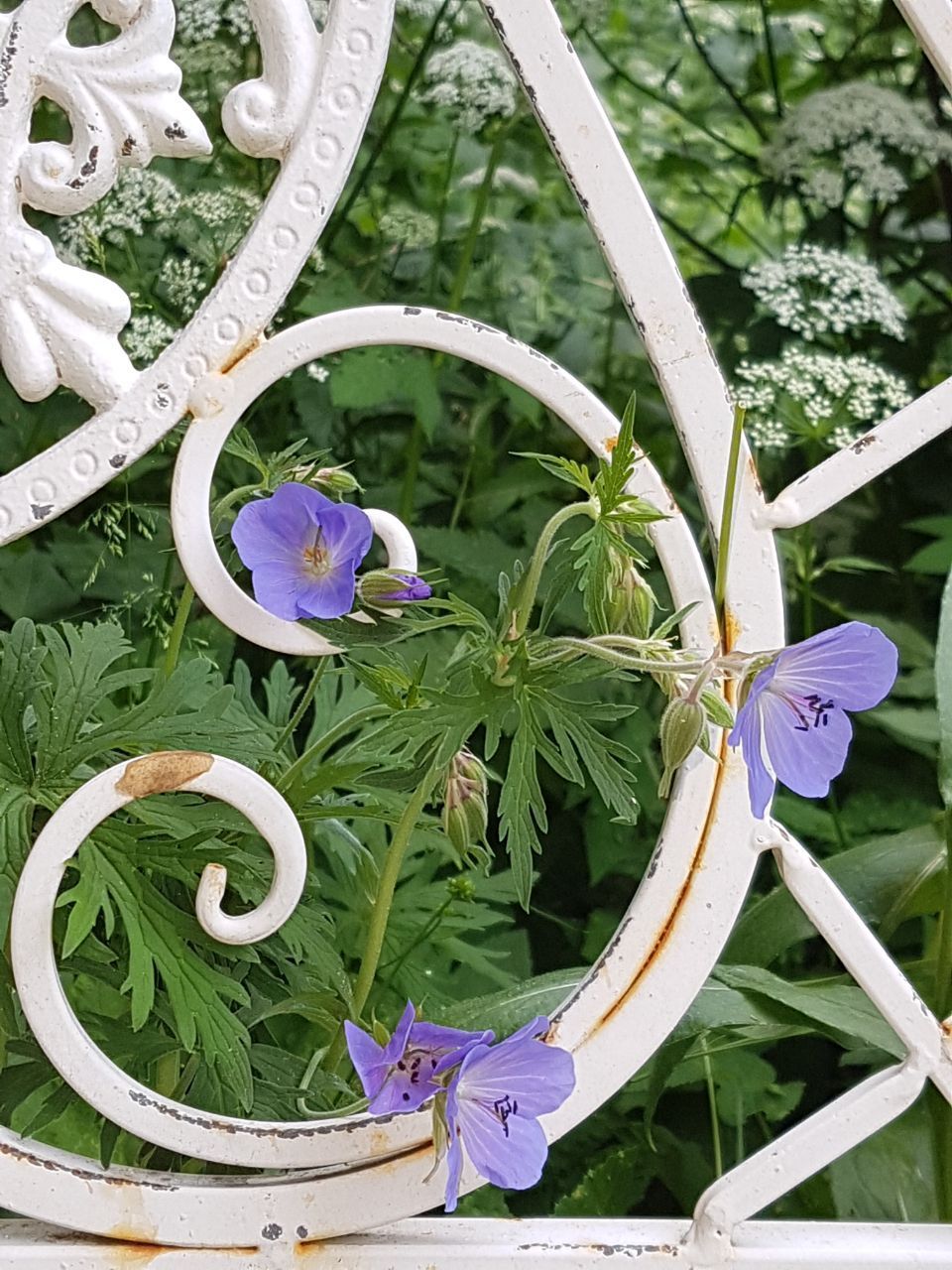 Psykoterapiapalvelu Silja Mäki