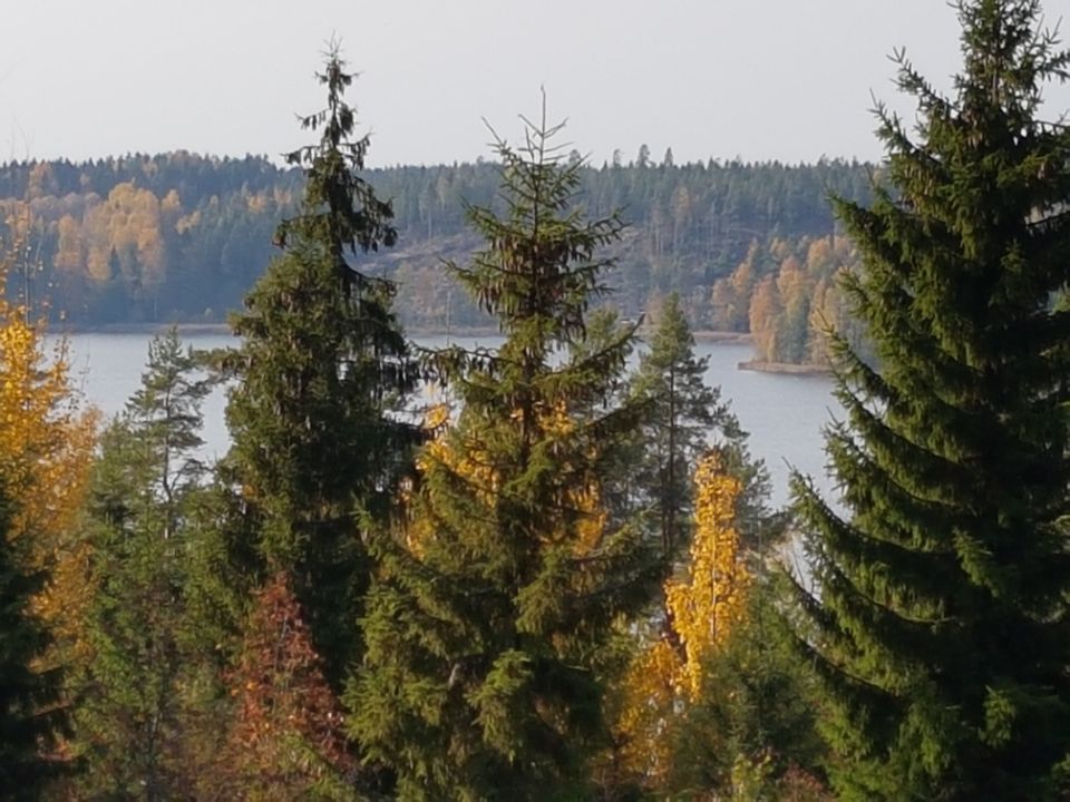 Psykoterapiapalvelu Silja Mäki