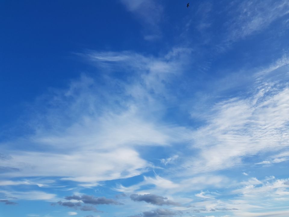 Psykoterapiapalvelu Silja Mäki