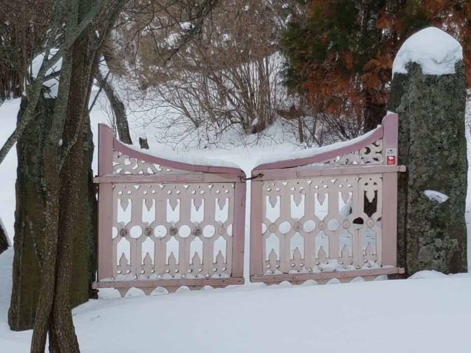 Psykoterapiapalvelu Silja Mäki